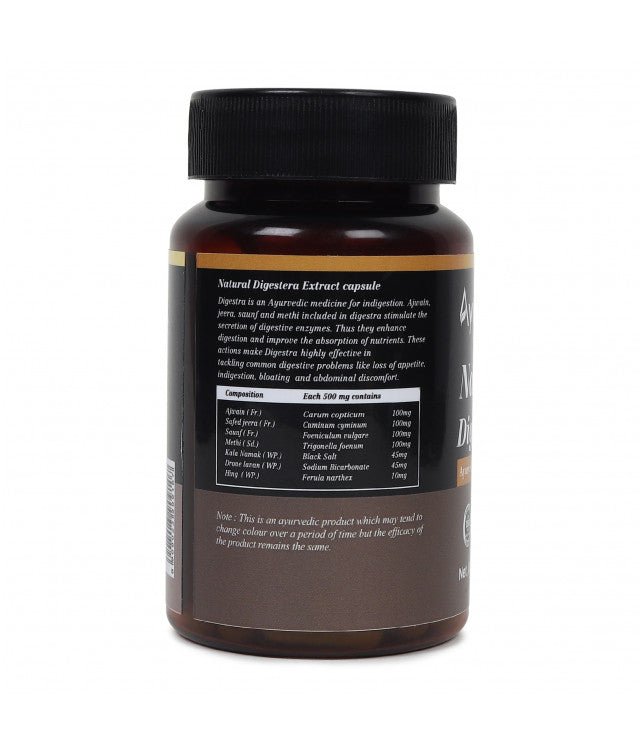 Gastric Care - WellWith Ayuzera