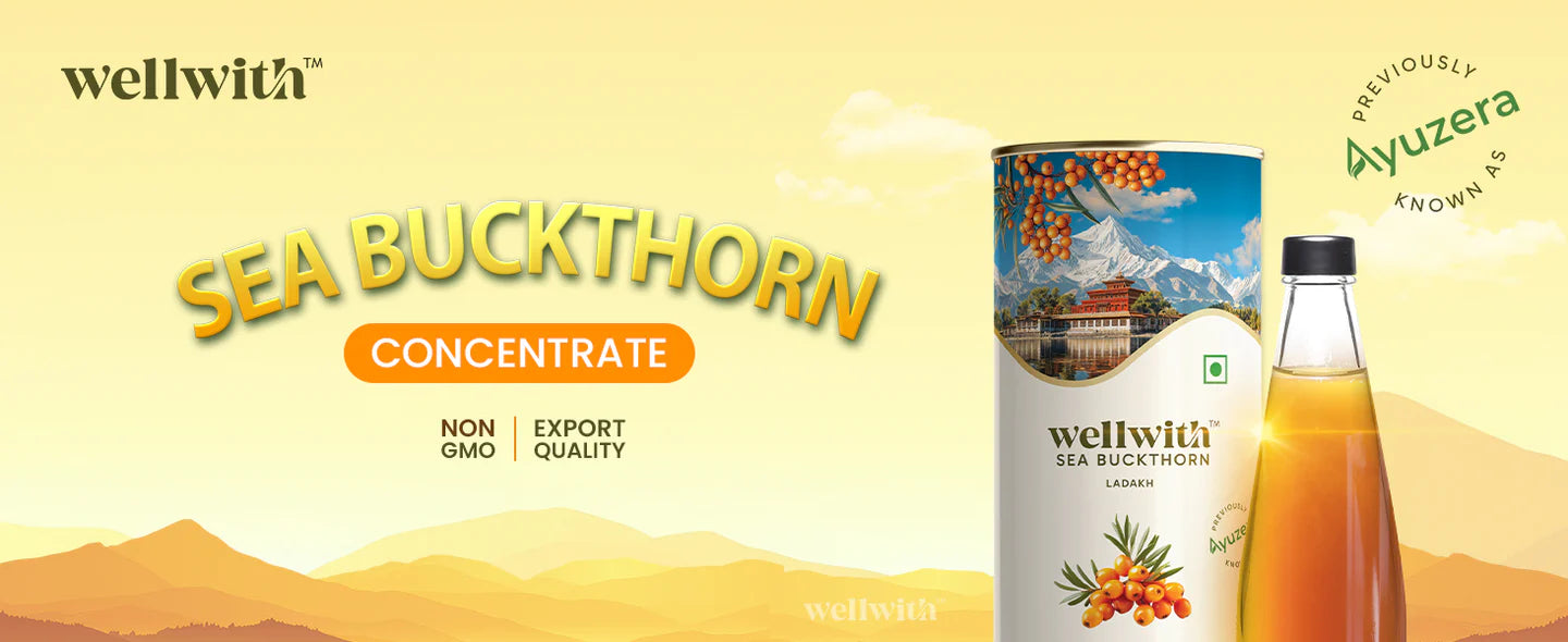 Wellwith Sea Buckthorn Concentrate packaging with a scenic background