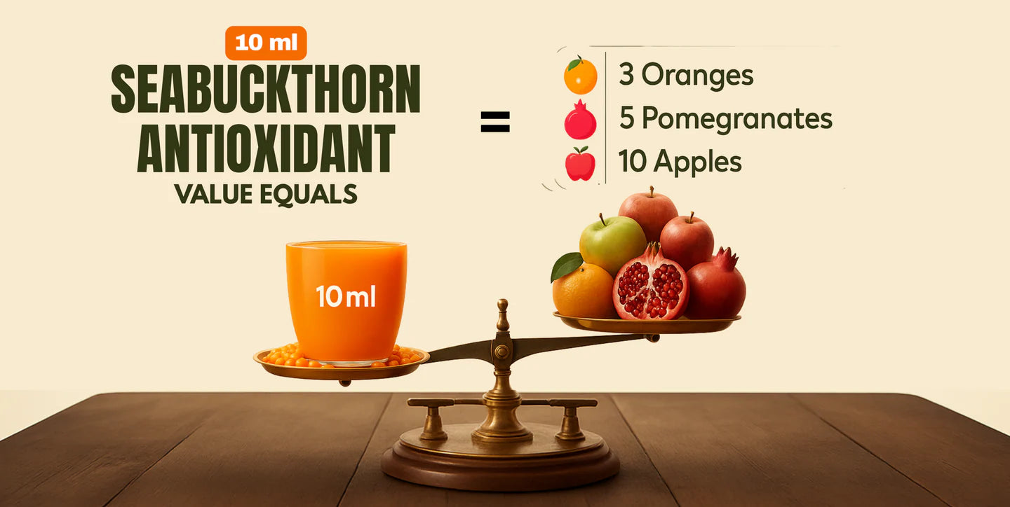 Seabuckthorn antioxidant value comparison with fruits on a scale