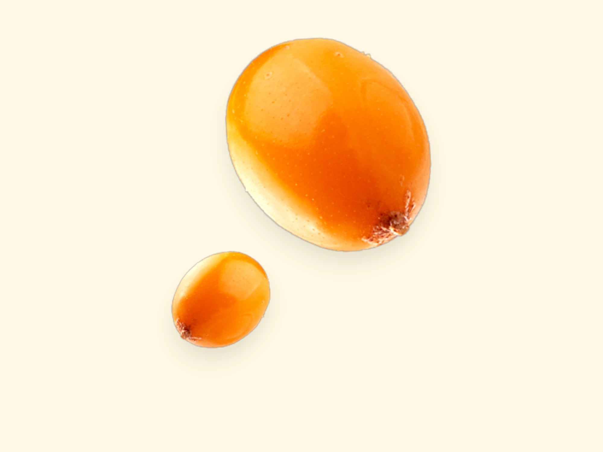 Two sea buckthorn berries on a beige background