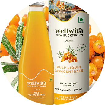 Wellwith Sea Buckthorn pulp liquid concentrate bottle and packaging with sea buckthorn berries and leaves.