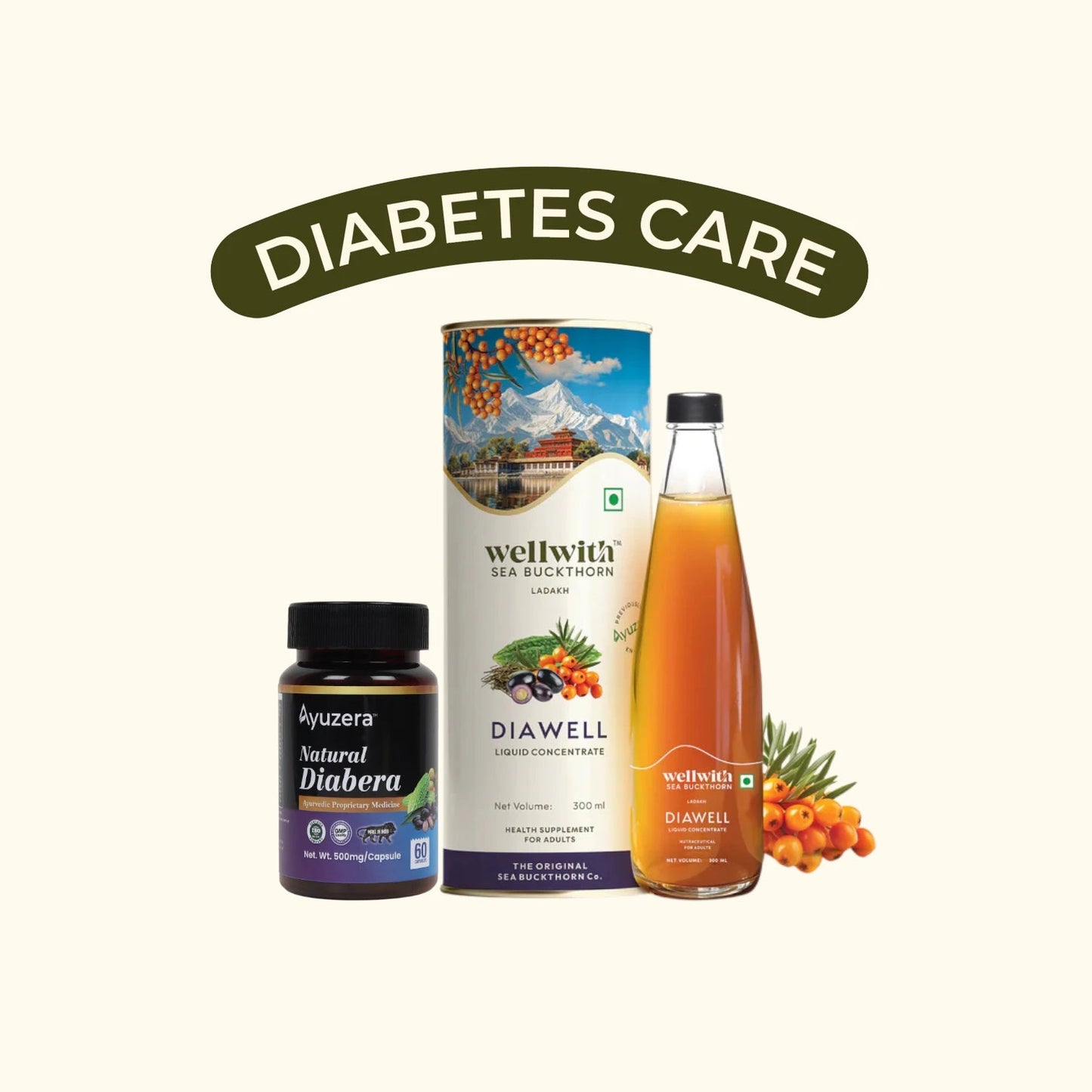 Diabetes Care Kit - WellWith Ayuzera