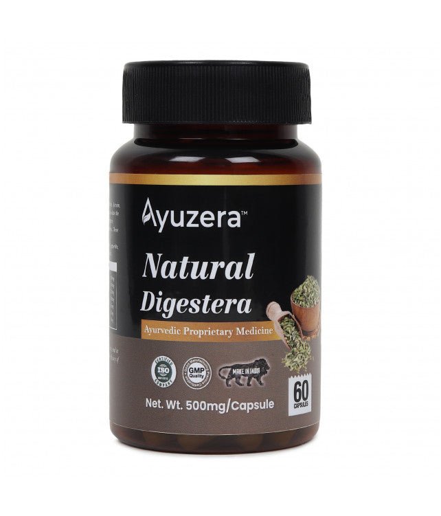 Gastric Care - WellWith Ayuzera