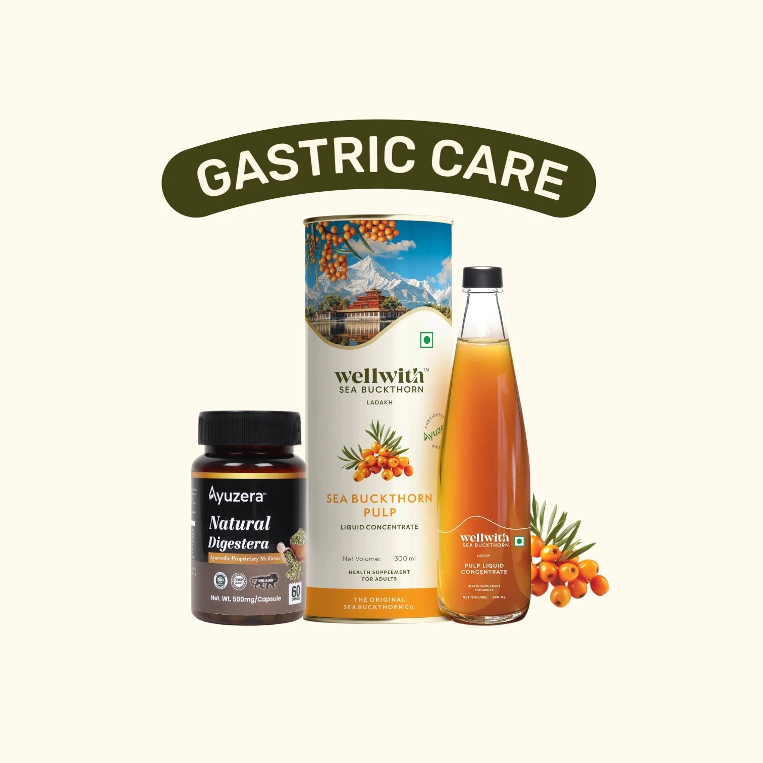 Gastric Care - WellWith Ayuzera