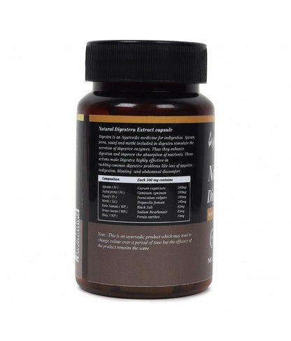 Gastric Care - WellWith Ayuzera