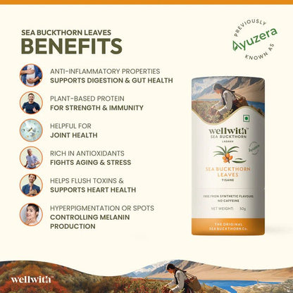 Immunity Care Kit - WellWith Ayuzera