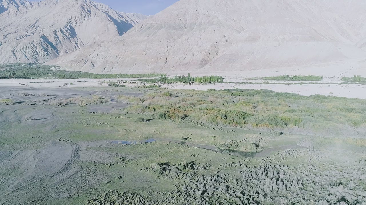 Load video: From Ladakh to Your Home: The Real Journey of WellWith Sea Buckthorn