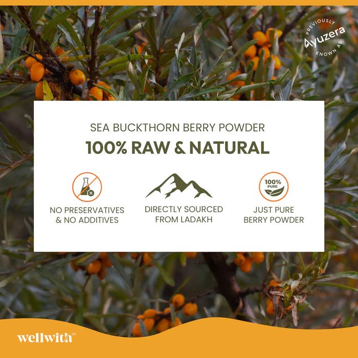 Sea Buckthorn Dry Berry Powder - WellWith Ayuzera