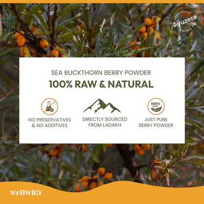 Sea Buckthorn Dry Berry Powder - WellWith Ayuzera