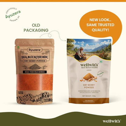 Sea Buckthorn Dry Berry Powder - WellWith Ayuzera