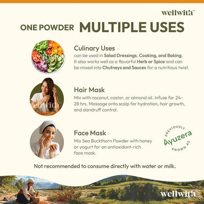 Sea Buckthorn Dry Berry Powder - WellWith Ayuzera