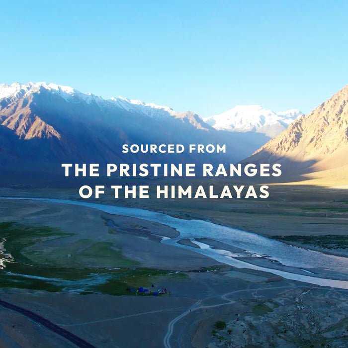 Sea Buckthorn Gummies - WellWith Ayuzera