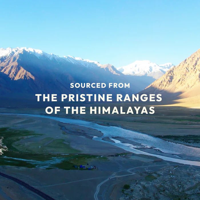 Sea Buckthorn Jam - WellWith Ayuzera