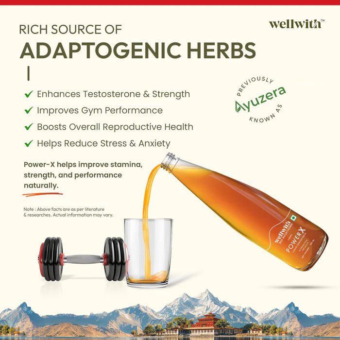 Sea Buckthorn Power X 300ml - WellWith Ayuzera